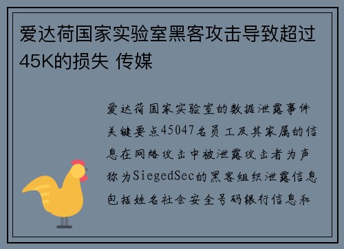 爱达荷国家实验室黑客攻击导致超过45K的损失 传媒