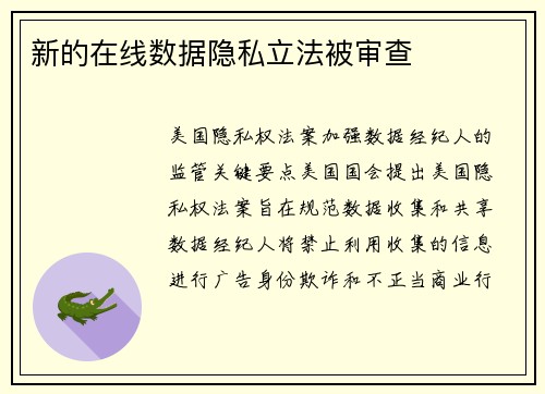 新的在线数据隐私立法被审查 